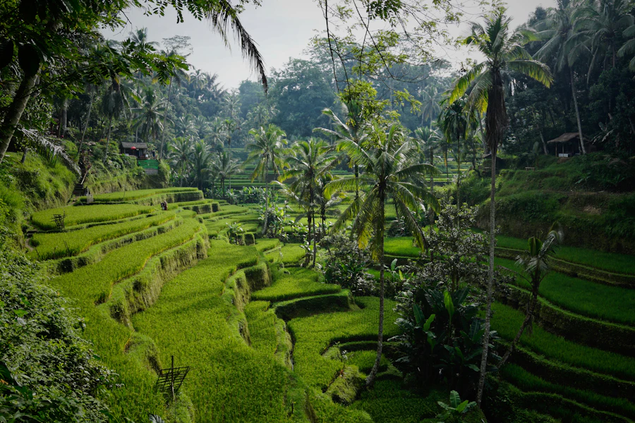 Bali — Temples & tropical escapes