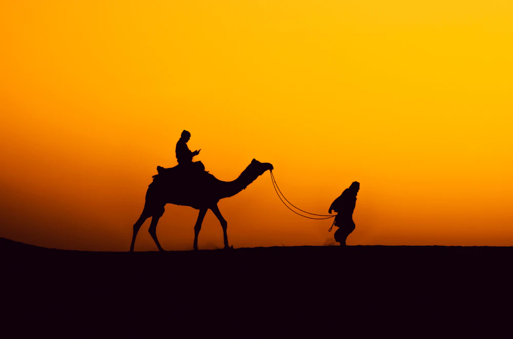 Desert Safari India